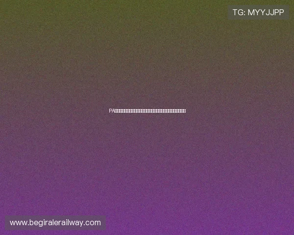 PA视讯版的用户评价与反馈，真实玩家体验分享帮助你做出明智选择